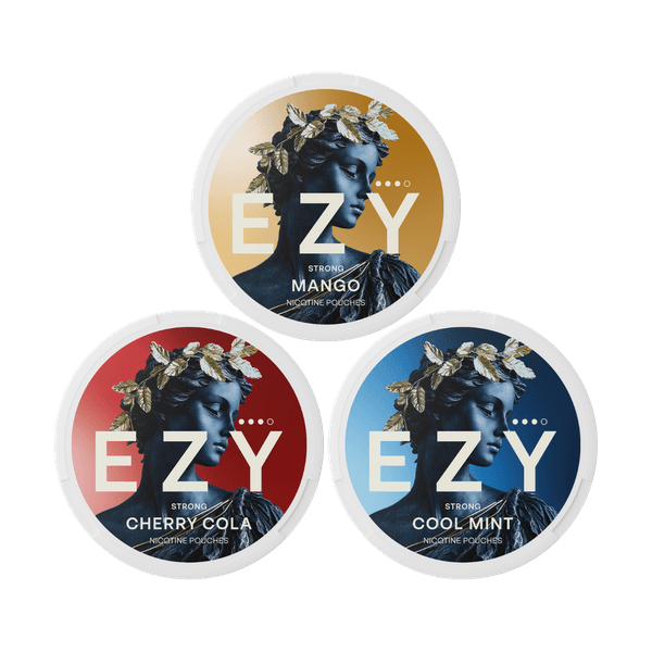 EZY EZY Mix Pack Strong nicotinezakjes